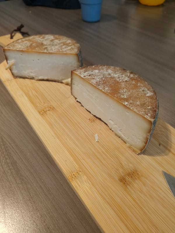 Experiment #6 - affinage -  Shoyu (soy sauce) cheese